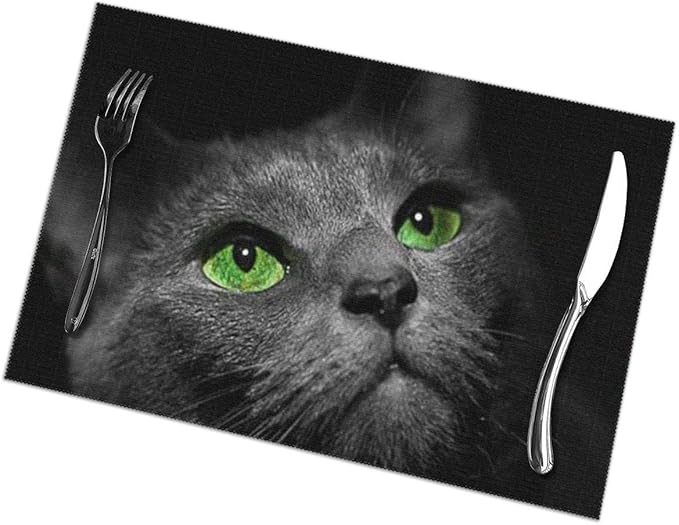 EU Placemat Looking at The Sky of The Cat Placemats for