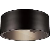 GLOBE Electric 44479 Teagan 1-Light Outdoor Indoor Flush Mount Ceiling Light, Dark Bronze, Clear Glass Shade, Bulb Not Includ