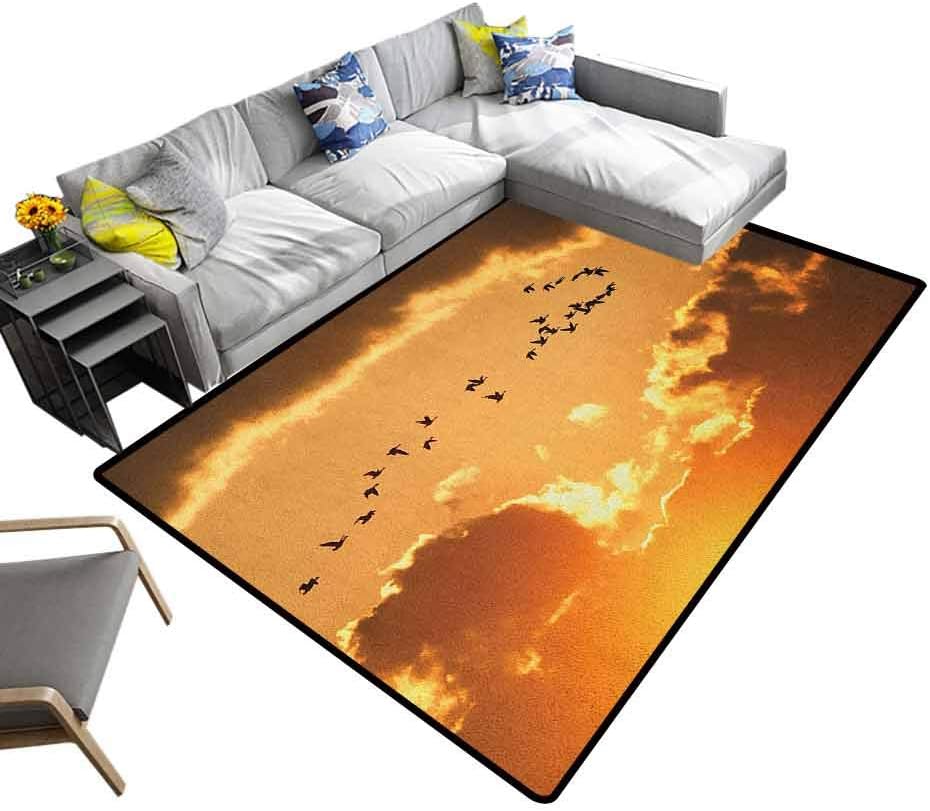 Camping Mat Birds, Luxury Shag Carpets A Flock of Migratory Canadian Geese Flying at Sunset Cloudy Sky Monochromic Art for Living Room Bathroom Enterway Brown Yellow, 7 x 7 Feet