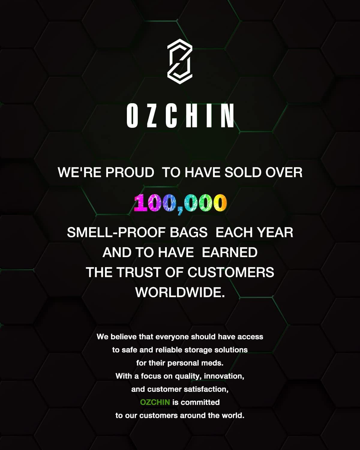 OZCHIN Smell Proof Bags Money Bag Certificates Organizer Lock Bag Travel Storage Case 11 x 8 inch with Combination Lock