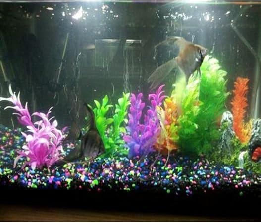 amazon uk aquarium accessories