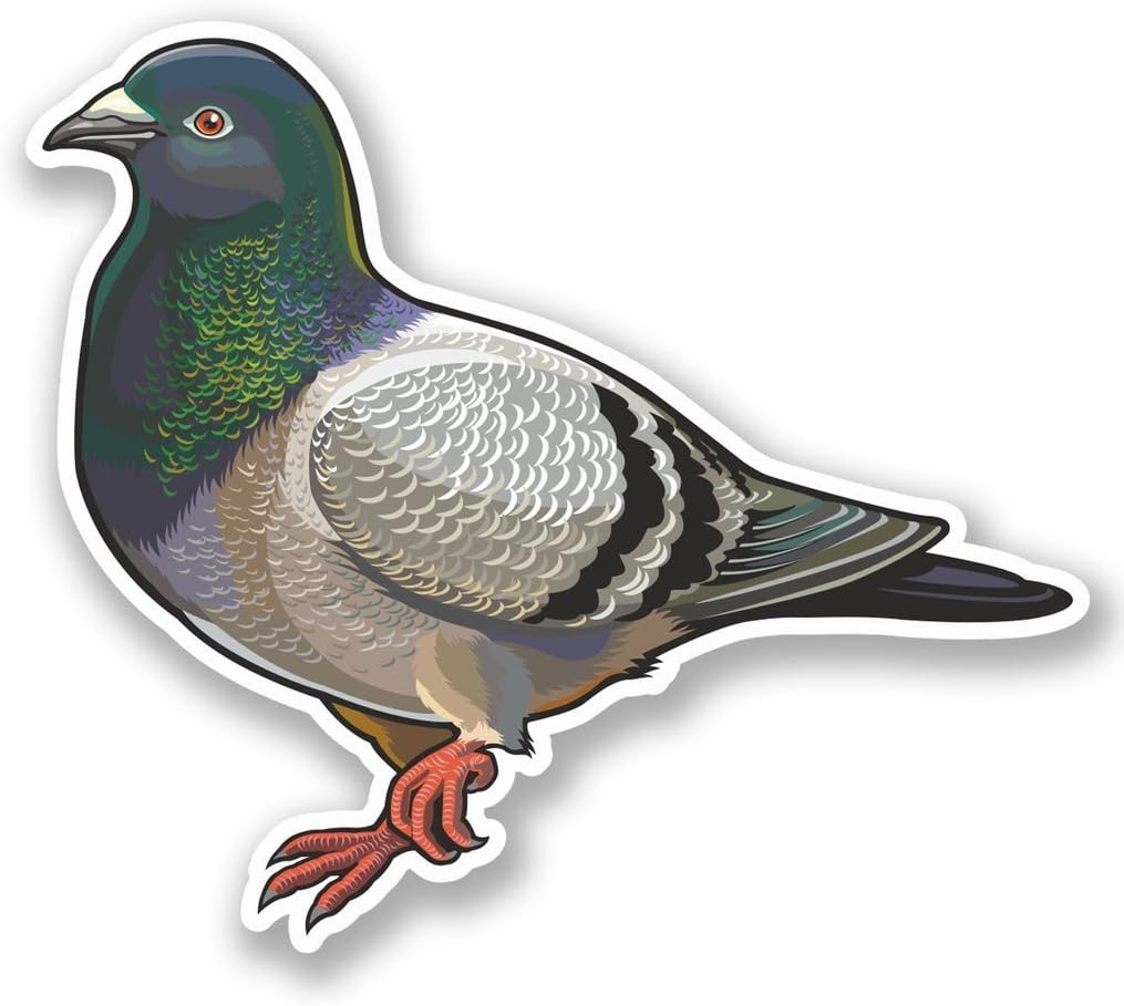 2 x 30cm/300mm Pigeon Vinyl SELF ADHESIVE STICKER Decal Laptop Travel Luggage Car iPad Sign Fun #4648
