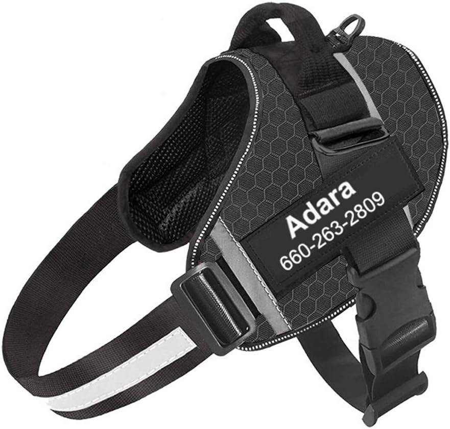 custom name dog harness