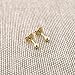 14k Yellow Gold Ball Stud Earrings, 2 Millimeters