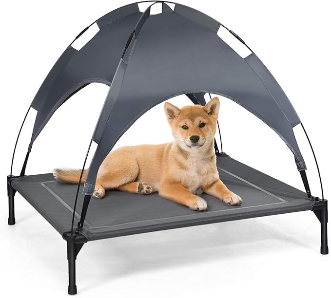 elevated dog bed amazon