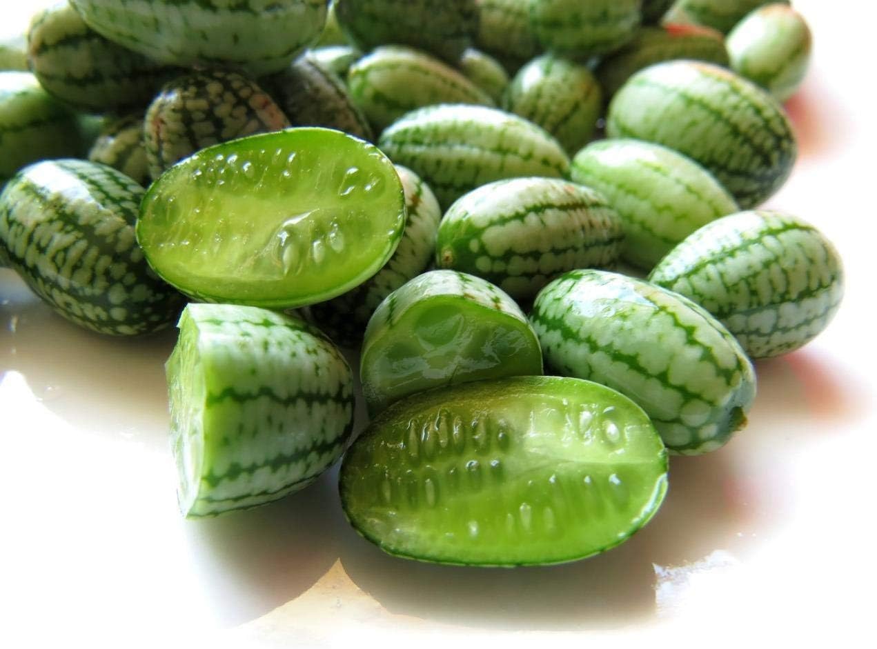 ScoutSeed Cucamelon Seeds, Mouse Melon Seeds- Unusual, Tasty Snack:)