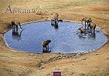 African Wildlife 2016 by 
