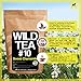 Herbal Chamomile Tea by Wild Foods, Organically Grown Egyptian Chamomile, Wild Tea #10 by Wild Food (8 ounce)