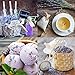 Lavande Sur Terre 8 Cups Lavender in Large Glass Bottle, Highland Dried Lavender Flower Buds, LV-G-1