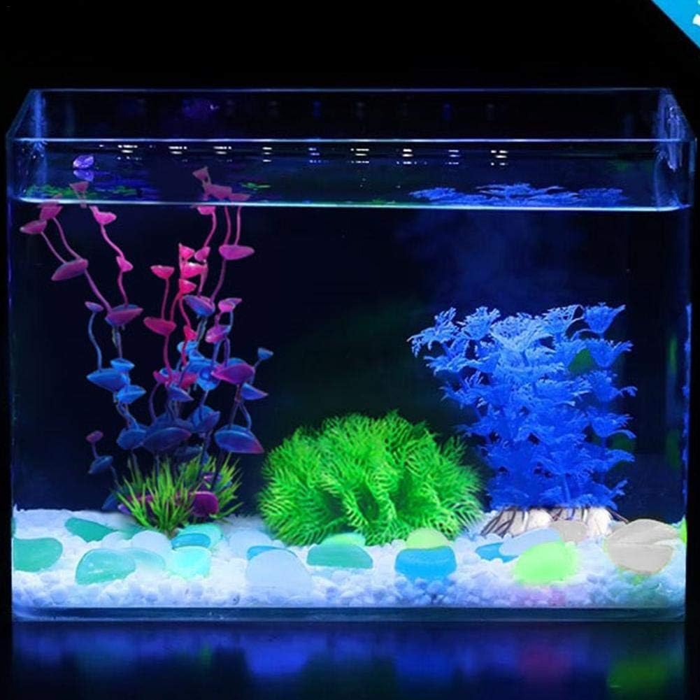 Amazon Co Jp Shopparadise 計440個 夜光石 アクアリウム 蓄光石 彩り石 水槽用飾り石 観賞 魚 ガラス クリスタル石 底砂 砂利 水族用品 约2 3 Cm 青100個 白60個 グリーン60個 ホーム キッチン