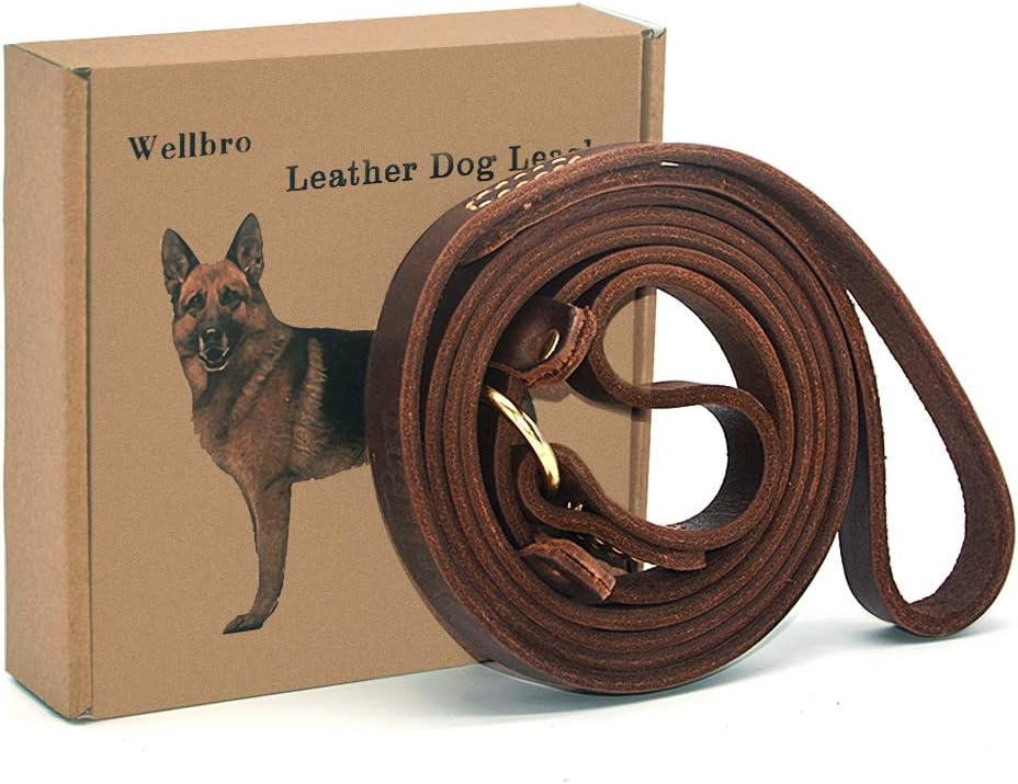 flat leather slip lead