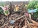 Patio Eden 6 Piece Fairy Garden Accessories Set - Miniature Fairies for Garden Kit
