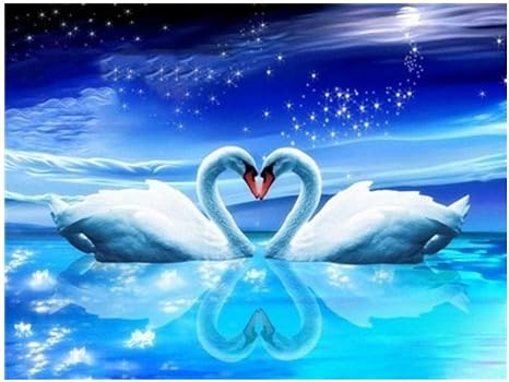 Amazon Co Jp 油絵 数字キットによる絵画 塗り絵 手塗り 白鳥 Diy絵 デジタル油絵 40x50cm Diyの木製フレーム ホーム キッチン