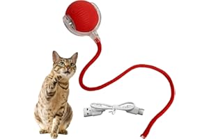 PLLCJB Interactive Rolling Dog Ball, 2025 New Electric Cat Toy,360° Smart Automatic Rolling Pet Ball, Fast Moving Toy for Dog and Cat