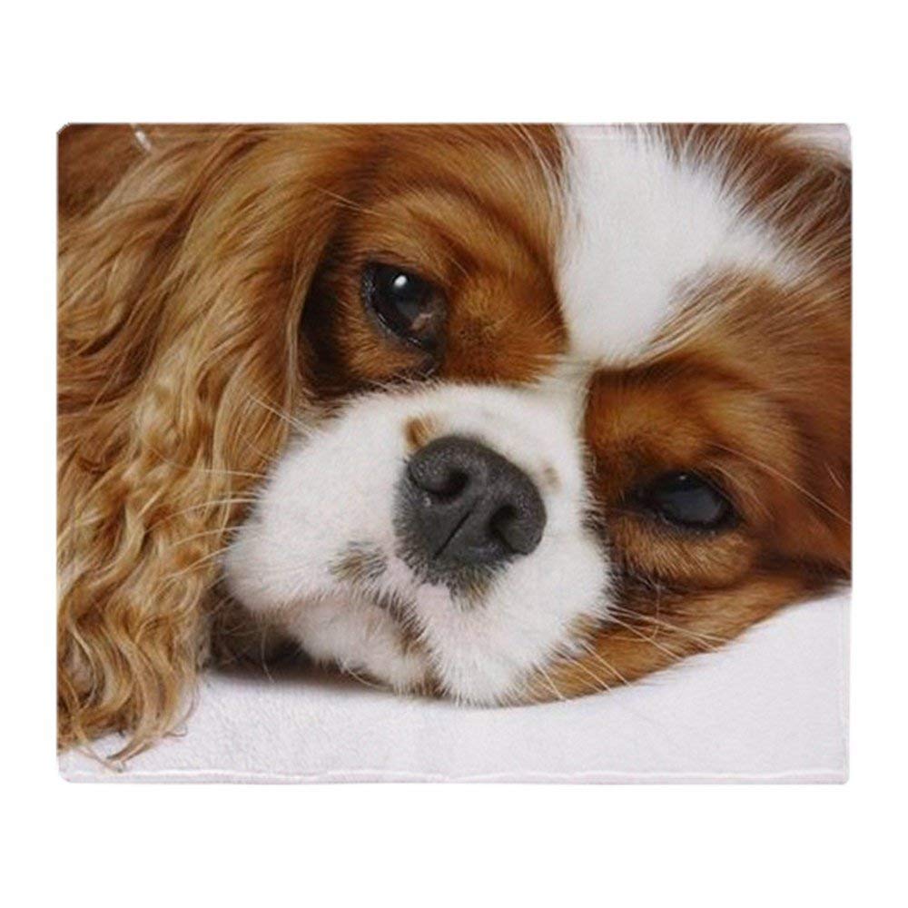 YISUMEI - Soft Fleece Blanket - Cavalier King Charles Spaniel, 80 x 120 cm Throw Blanket Suitable for Sofa or Bed