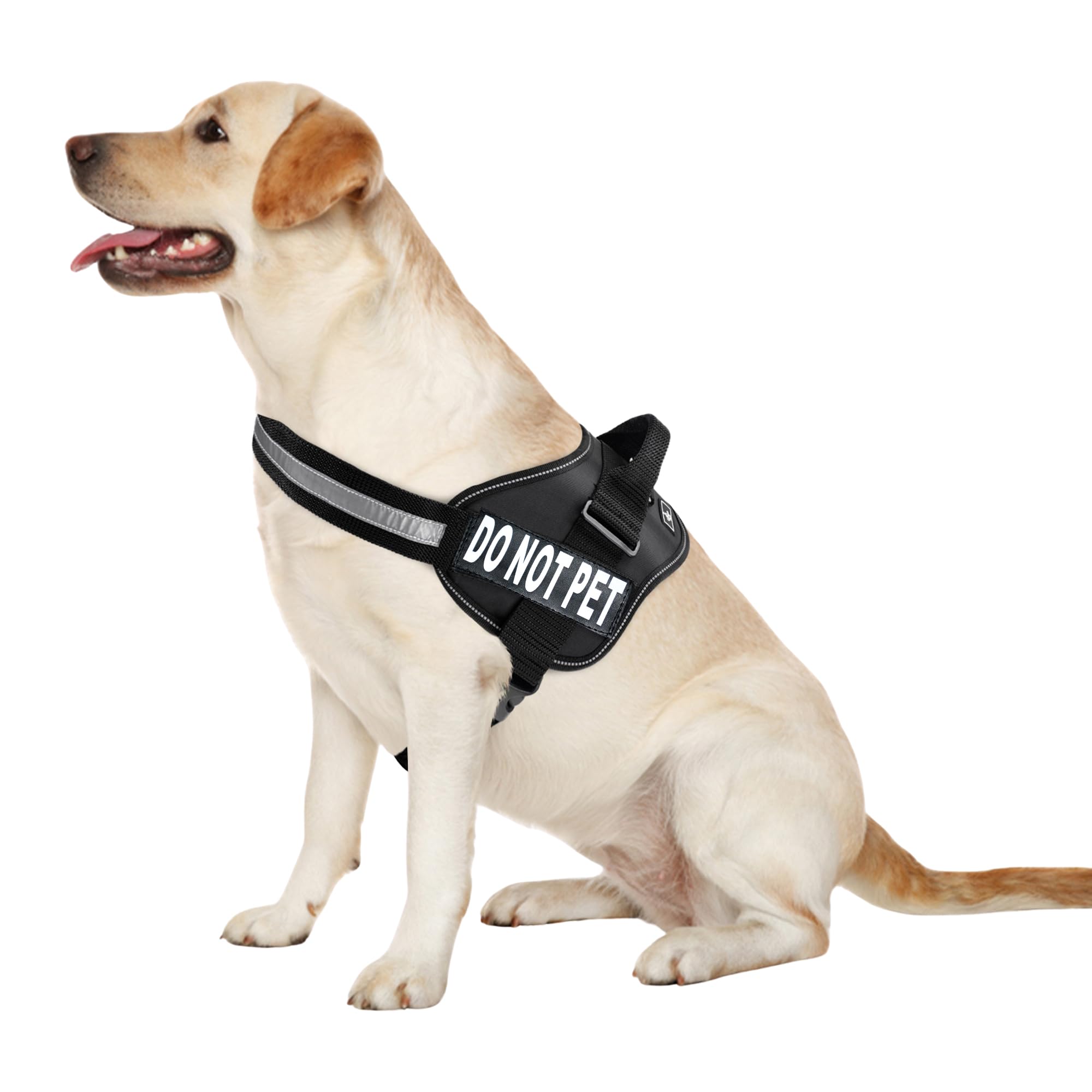 : Doggie Stylz Dog Harness with DO NOT PET Patches – No Pull Service Dog Vest and Service Animal Vest for Dogs – Adjustable Gentle Leader for Dogs – Reflective, Heavy-Duty for Training and Walking — image 1