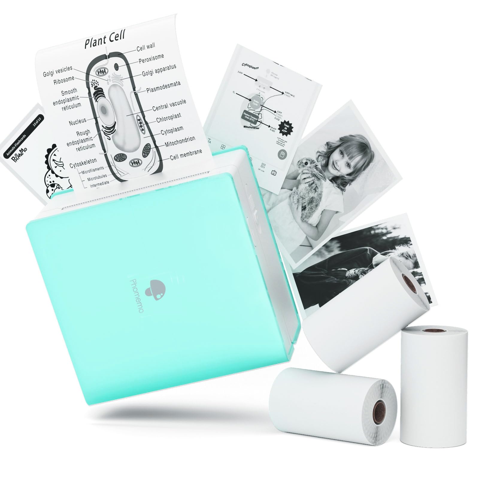 Photo 1 of Memoqueen M02 Mini Sticker Printer Gift Box Set, Bluetooth Mobile Pocket Printer, Sticker Maker Compatible with iOS & Android, for Print Fun, Study Notes, Journal, Include 3 Rolls Thermal Paper, Green