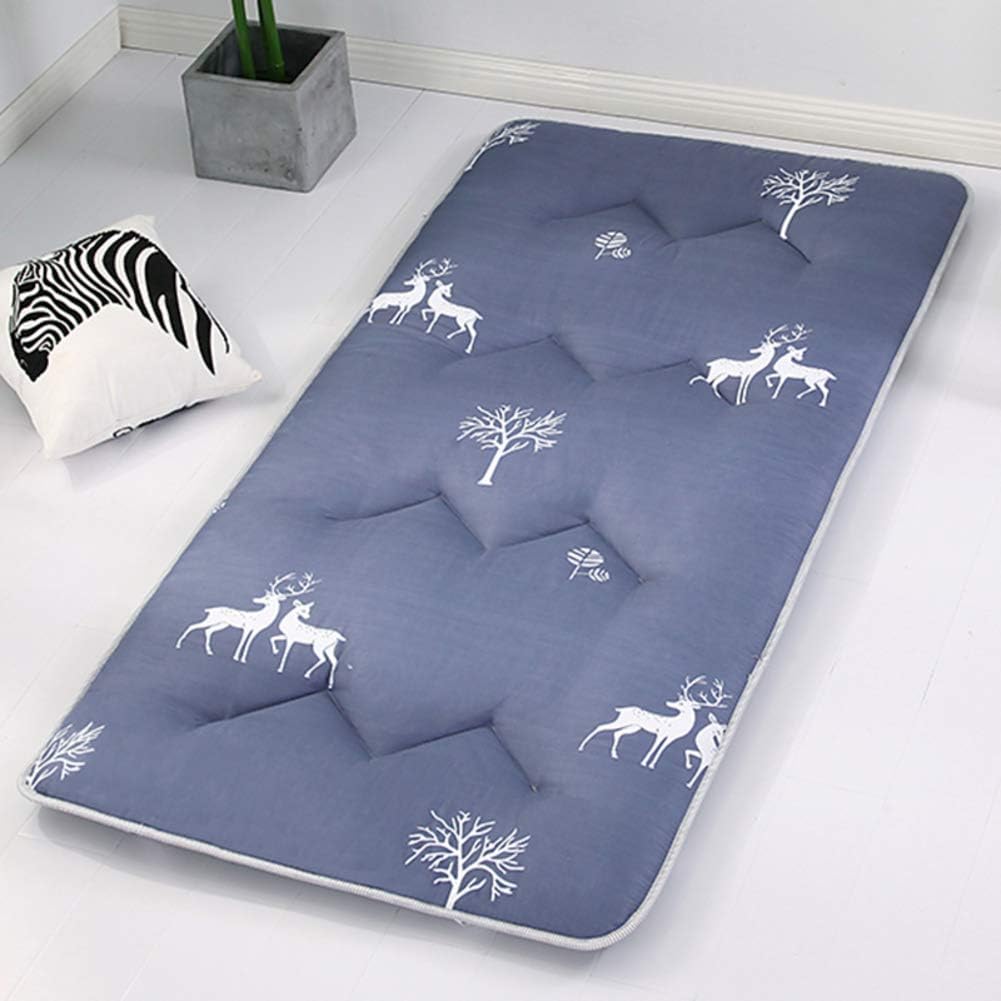 LYCIL Japanese Futon Tatami Mat Sleeping,portable Floor Mat Indoor Outdoor Roll-up Guest Bed Rolling Bed Shikibuton Quilted Mattress-g 100x200cm(39x79inch)