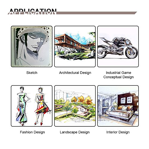 30 Colors TOUCHNEW Graphic Drawing Painting Art Dual Tip Sketch Pen Twin Marker Coloring Highlighting Underlining Set with Carry Bag (Grayscale Markers)