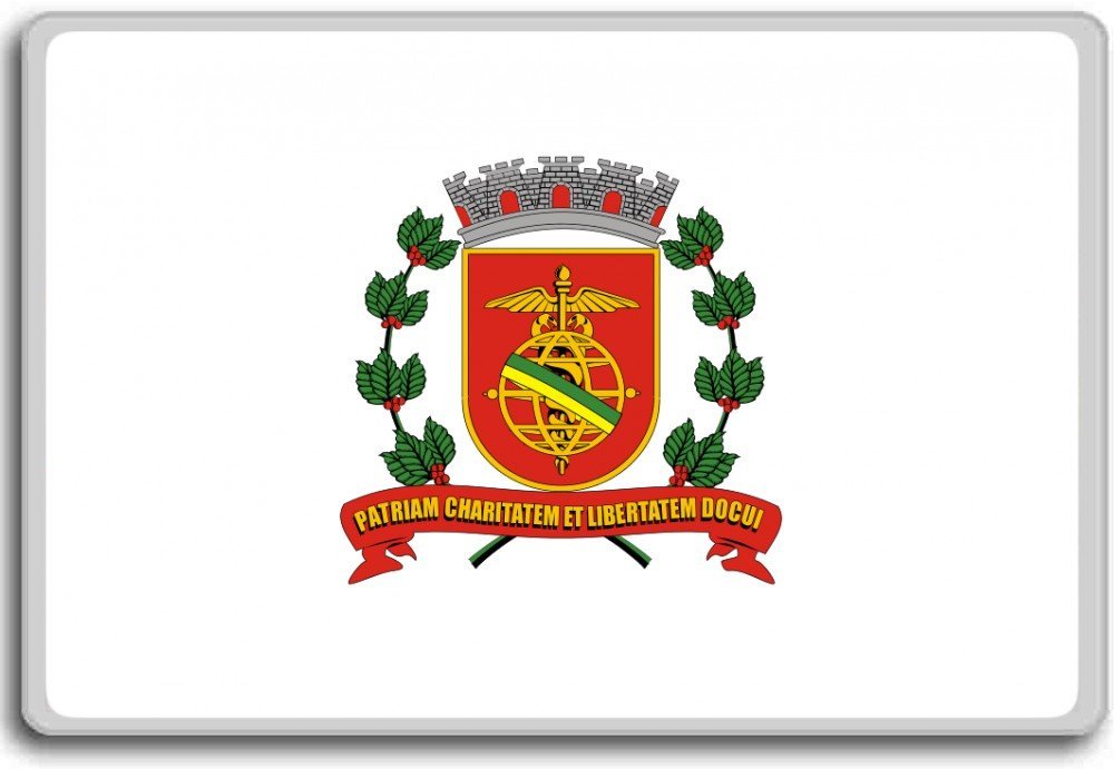 Brazil, São Paulo State, Bandeira Santos city flag fridge magnet ...