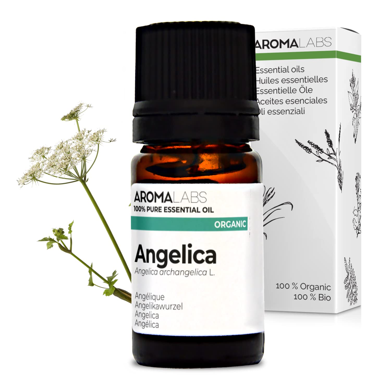 Bio - Angelica Essential Oil - 5mL - 100% Pure, Natural, Chemotyped and AB Certified - AROMA LABS (French Brand)