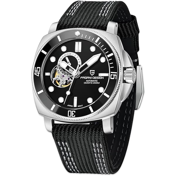 Amazon.com: HaiQin Pagani Design 1736 Automatic Watches for Men