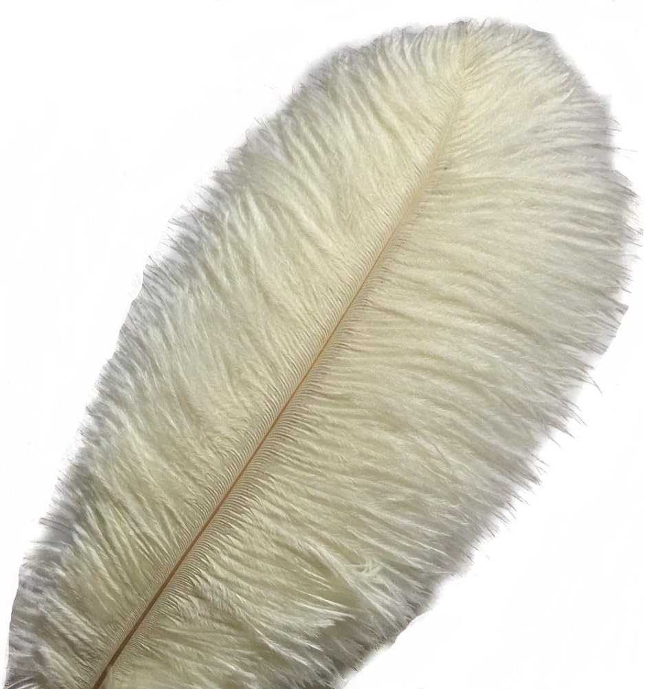 MELADY Pack of 10pcs Natural Ostrich Feathers 14-16inch(35~40cm) for Home Wedding Party Decoration (Ivory)