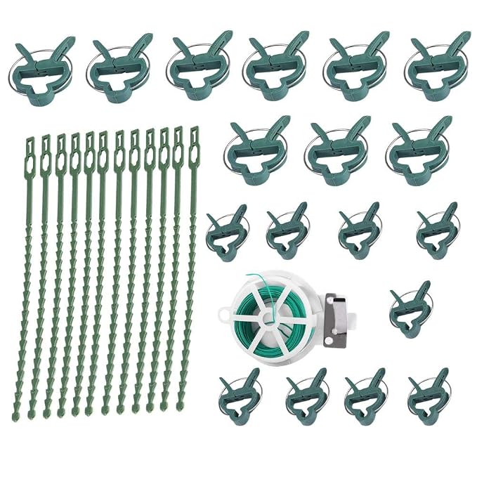 Fishlor Clips de Soporte para Plantas, 31PCS / Set Conjunto de ...
