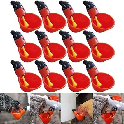 Amazoncom Staron 12 Pack Chicken Drinker Cups Feed Automatic Bird