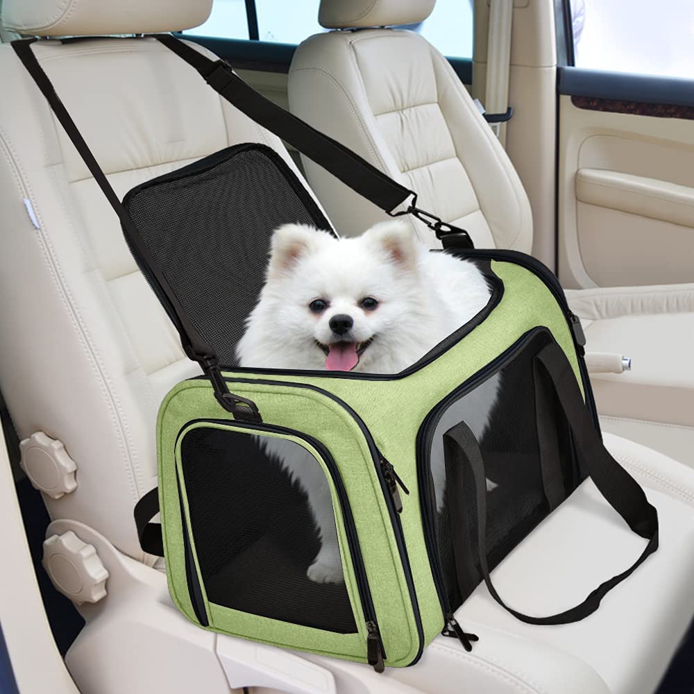 Henkelion Pet Carrier