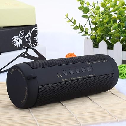 vtin t2 bluetooth speaker
