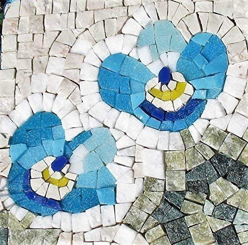 Occhi Della Madonna Non Ti Scordar Di Me Fiore Kit