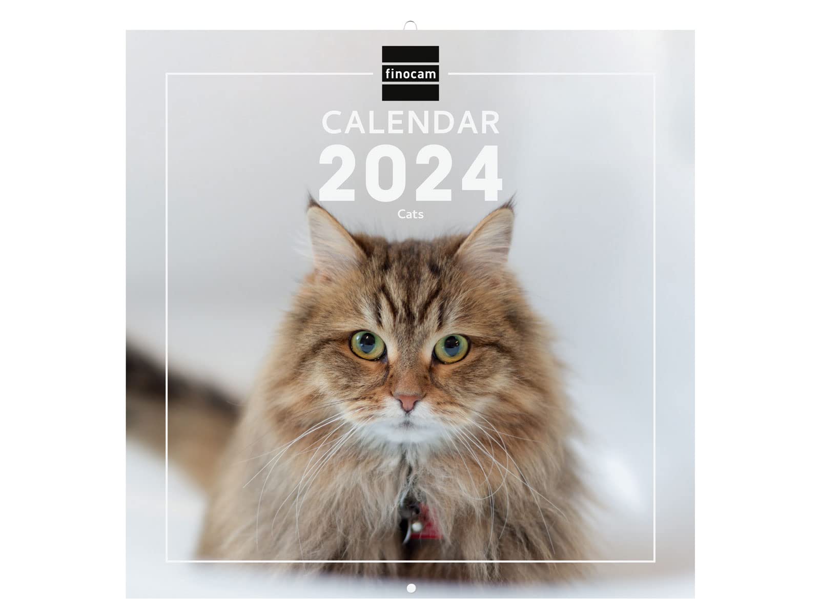 Finocam – Cats International Wall Photo Calendar 2024 January 2024 – December 2024 (12 months)