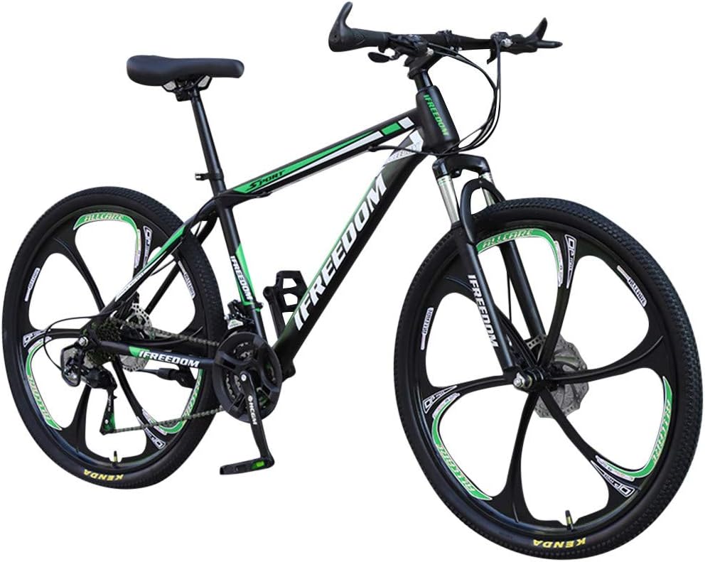 stylish bicycle for adults