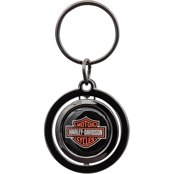 Amazon.com: Plasticolor 004534R01 Harley-Davidson Vintage Logo