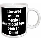 3dRose mug_218472_1 I survived another meeting that should have been an Email - Ceramic Mug, 11-ounce
