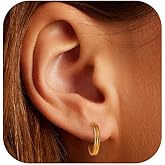 Titanium Earrings for Sensitive Ears Women, 2 Pcs Small Lightweight Gold Hoop Earrings, Conch Piercing jewelry, Cartilage Earrings, Double Hoop Design, Anniversary Mothers Valentines Day Gifts for Her