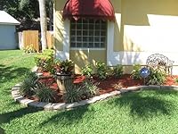 Review Image by Luis Ramon Luis Ramon