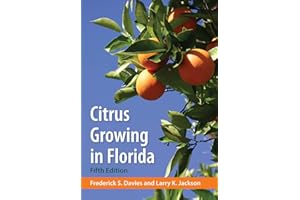 Citrus Growing in Florida
