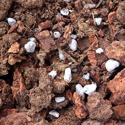 Orchid Nerd by Waldor Orchids Cymbidium Mix Orchid Potting Soil Mix (7x7x6 Box) for Cymbidium