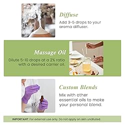 Handcraft Blends Peppermint Essential Oil – Huge