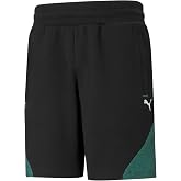 PUMA Men's Black/Green/White Mercedes AMG Petronas F1 Sweat Shorts - S