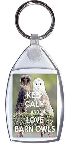 Keep Calm And Love Barn Owls Keyring Amazon Co Uk Handmade