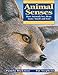 Animal Senses: How Animals See, Hear, Taste, Smell and Feel (Animal Behavior)