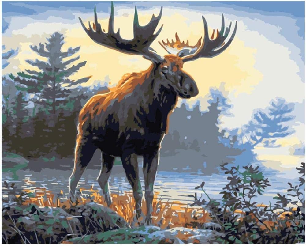 Amazon Prime Paint By Number Kit at Vincent Mcmillan blog