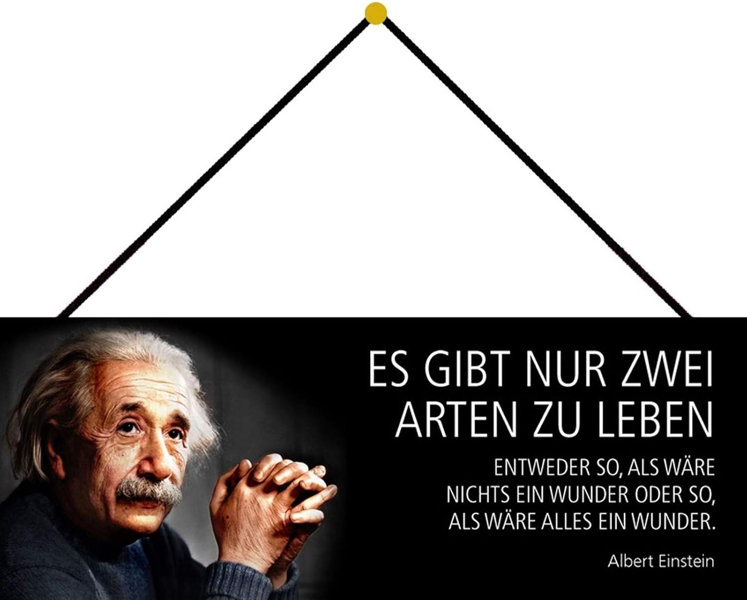 NWFS Albert Einstein Es gibt nur Zwei Arten zu Leben Entweder so, als