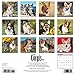 Just Corgis 2017 Calendar