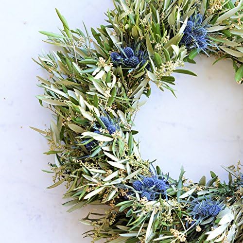 Blue Thistle and Olive Wreath