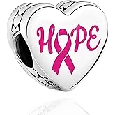 Amuefer S925 Charms for Pandora Bracelets and Necklaces, Gifts for Women on Birthday, Aniversary, Christmas, Mothers Day, Valentine's Day, Charm for Couples, Family, Friend, Girlfriend, Mom, Sister