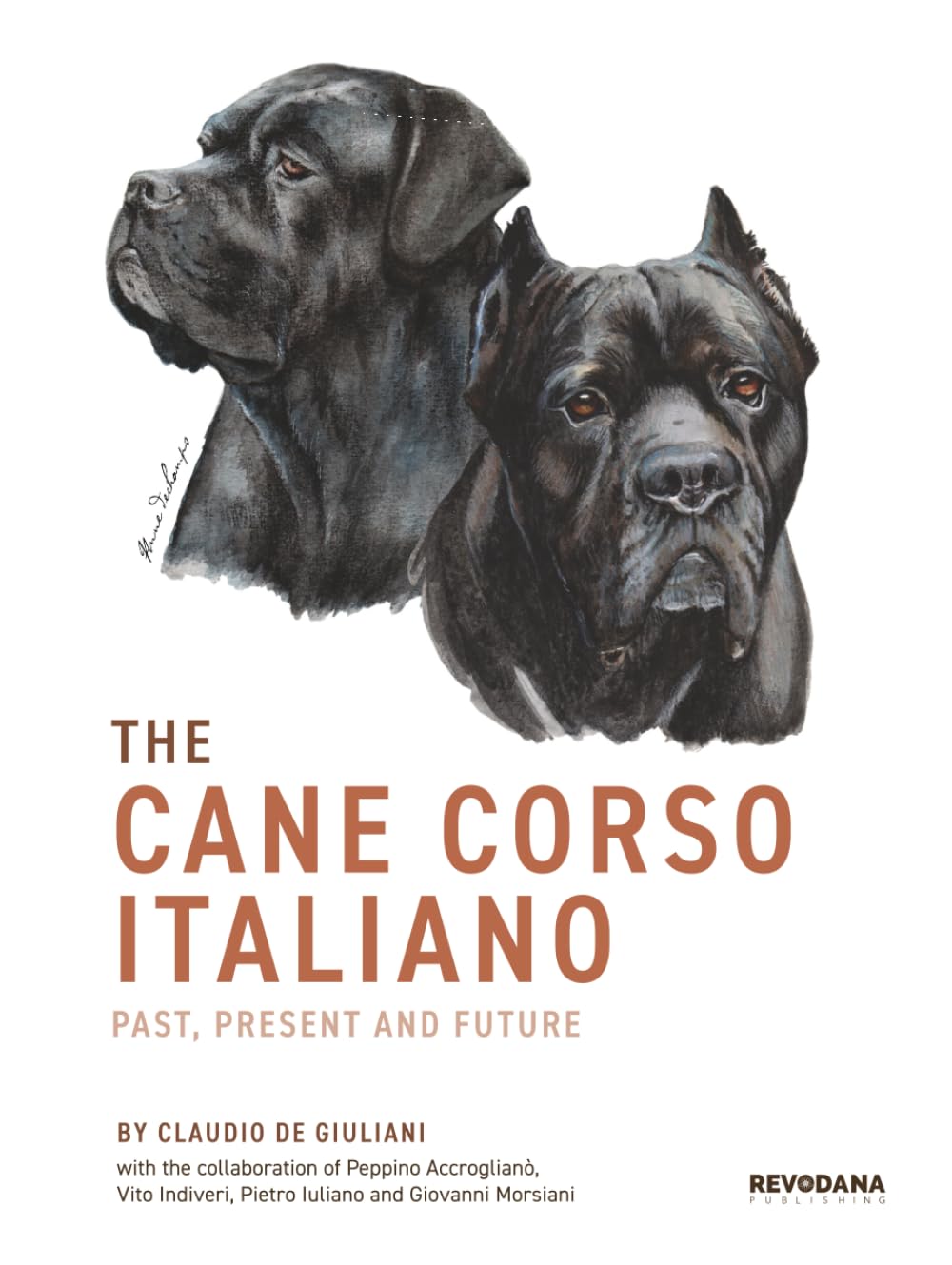 The Cane Corso Italiano: Past, Present and Future